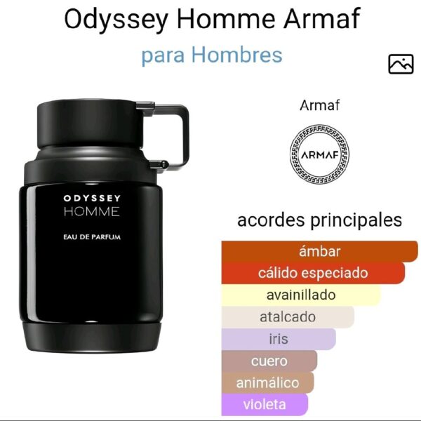 Odyssey homme