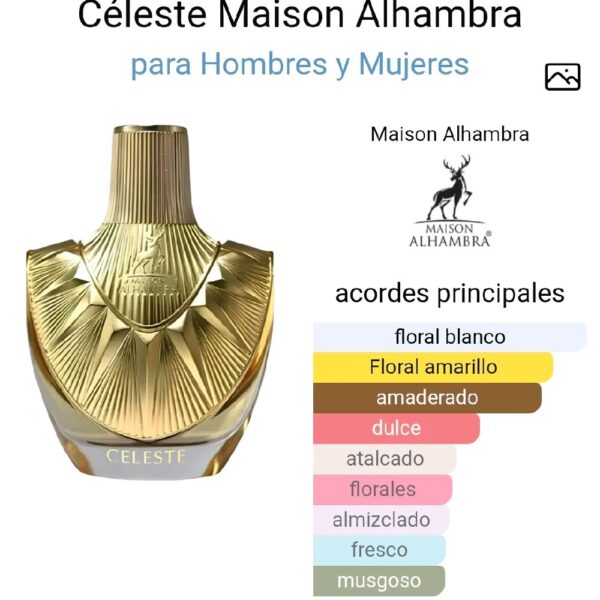 0a825ab4edaa4ca686e6a4fe132f84c6tplv-t5fjg24jzw-origin-jpeg.jpeg Céleste Maison Alhambra para Hombres y Mujeres