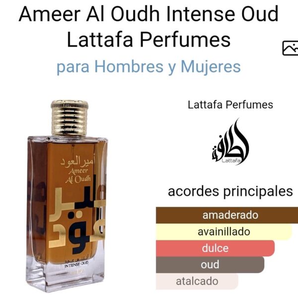 1bee824513284b648c2525cb44470a12tplv-t5fjg24jzw-origin-jpeg.jpeg Ameer Al Oudh Intense Oud Lattafa Perfumes para Hombres y Mujeres