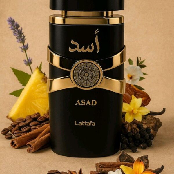 asad lattafa para Hombres
