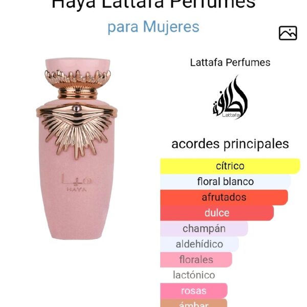 39e728c68a1c4bc4b60911666d8156d8tplv-t5fjg24jzw-origin-jpeg.jpeg Haya Lattafa