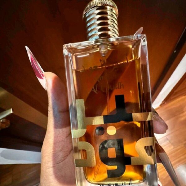 4c173523f442456e94a4bcd61718c527tplv-t5fjg24jzw-origin-jpeg.jpeg Ameer Al Oudh Intense Oud Lattafa Perfumes para Hombres y Mujeres