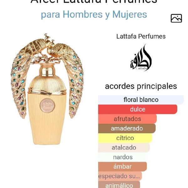 Afeef Lattafa Perfumes para Hombres y Mujeres
