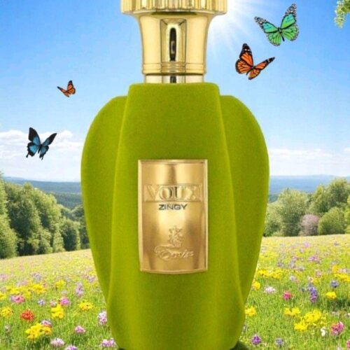 af304d14a6b94c40b26ba99b0b7d270etplv-t5fjg24jzw-origin-jpeg.jpeg Voux Zingy PARIS CORNER para Hombres y Mujeres