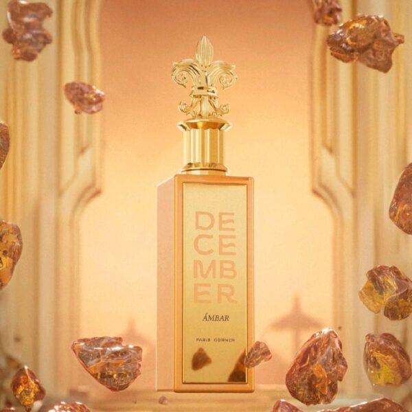 b8535d4c68ba442db8c8931bf2b102d8tplv-t5fjg24jzw-origin-jpeg.jpeg December Ambar