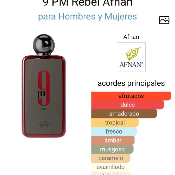 c2972b09f50944879e6c0b6cc000a92btplv-t5fjg24jzw-origin-jpeg.jpeg 9 PM Rebel