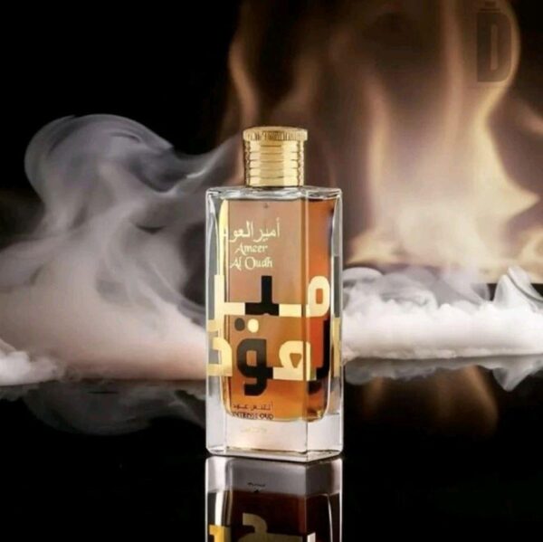 cb27de064d4c4485a16922874b7715aetplv-t5fjg24jzw-origin-jpeg.jpeg Ameer Al Oudh Intense Oud Lattafa Perfumes para Hombres y Mujeres
