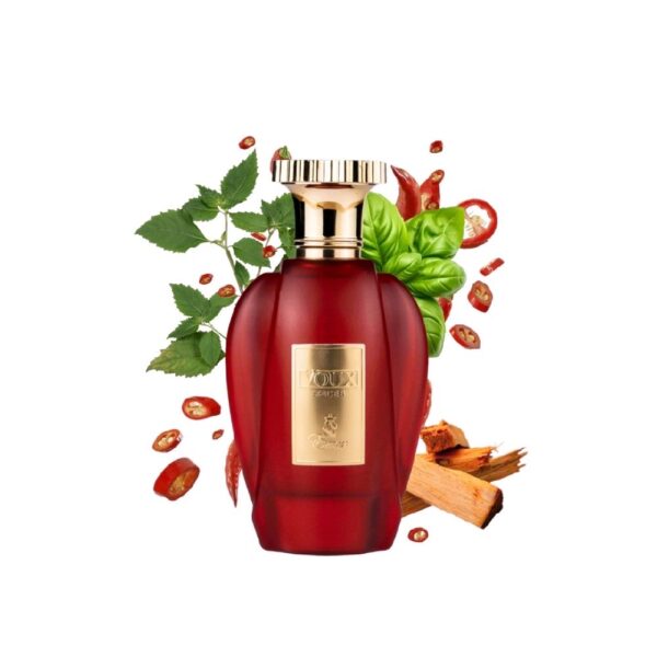 Voux Spices PARIS CORNER para Hombres y Mujeres