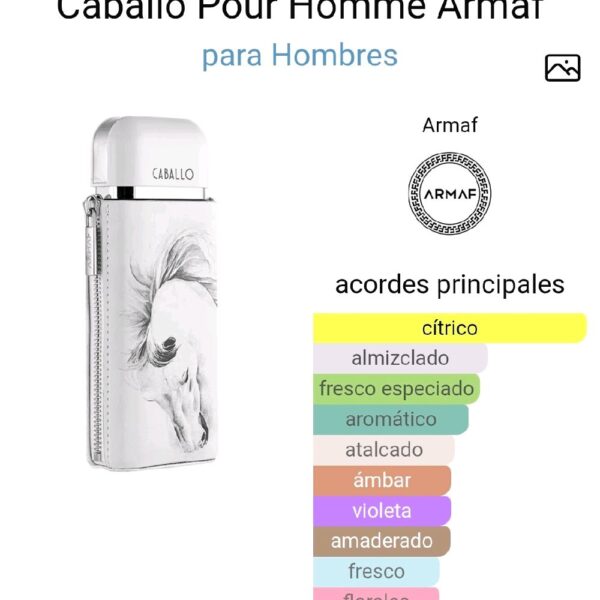 48827e2e0bc84952a7130b0c0124ba7atplv-t5fjg24jzw-origin-jpeg.jpeg Caballo Pour Homme Armaf para Hombres