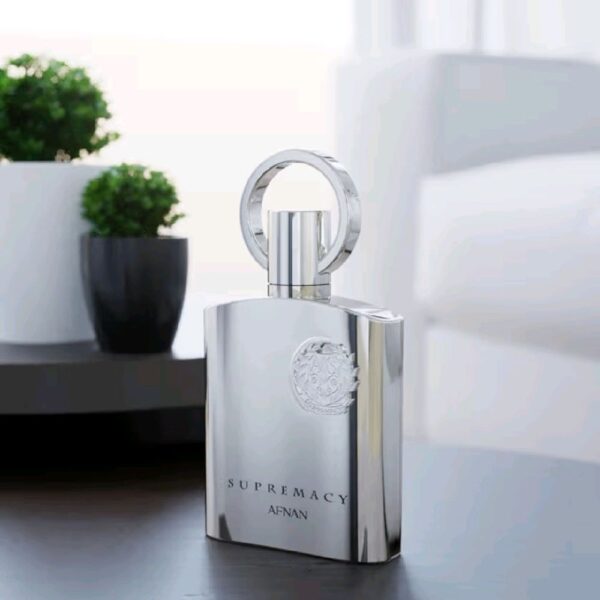 6faa930722ac47c09ddf502ca3147fc2tplv-t5fjg24jzw-origin-jpeg.jpeg Afnan Supremacy Silver Afnan para Hombres Perfume Elegante y Distintivo Ideal para Uso Diario o Ocasiones Especiales