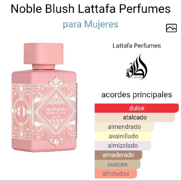 a44e5aa5b7a2446184dbbe42f9f50a1ftplv-t5fjg24jzw-origin-jpeg.jpeg Noble Blush