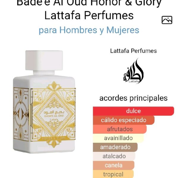b7661ae36cd945a098463eb50a0e2777tplv-t5fjg24jzw-origin-jpeg.jpeg Bade'e Al Oud Honor & Glory