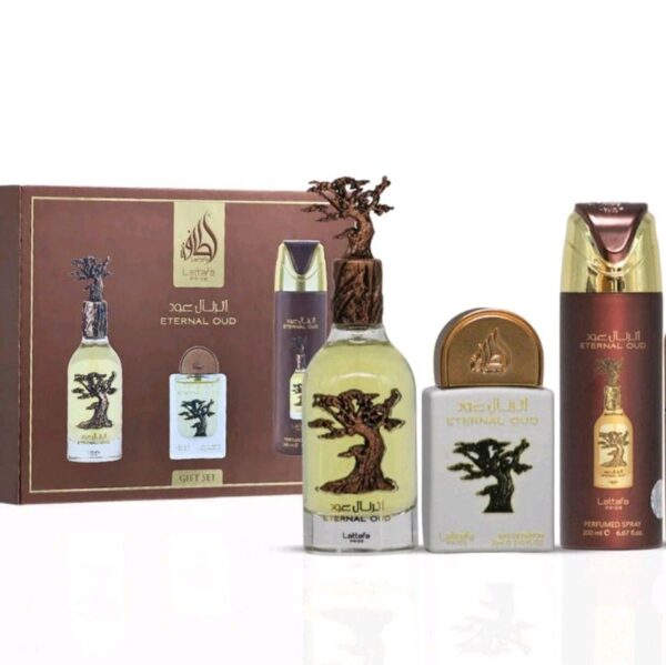 ee15dd9a9c03467a853b3cb73acd3741tplv-t5fjg24jzw-origin-jpeg.jpeg Eternal Oud set