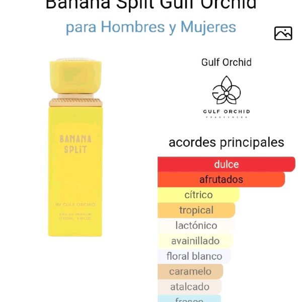 fc05efb3323f46e7ae95fef842555b08tplv-t5fjg24jzw-origin-jpeg.jpeg Banana Split Gulf Orchid para Hombres y Mujeres